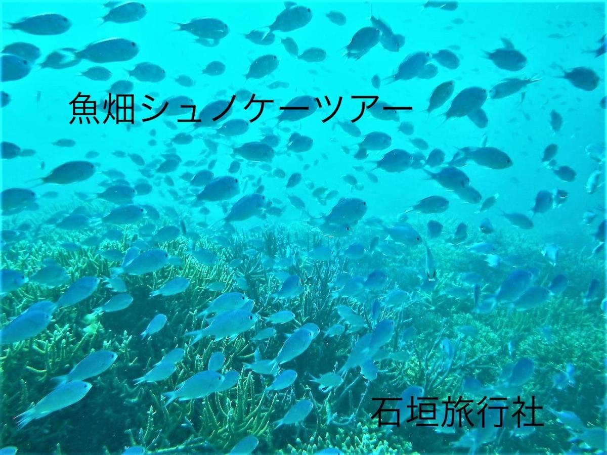 ゆい屋 Vila Ishigaki  Exterior foto